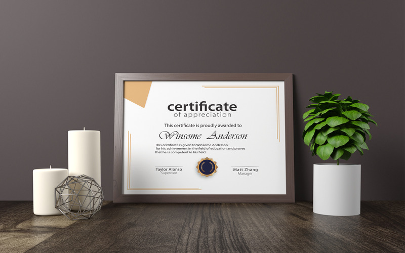 Modern and simple certificate of appreciation template - Features Image 2
