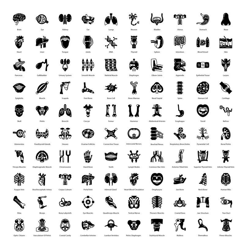 Interne menselijke organen 100 premium Glyph-pictogrammen - Features Image 1