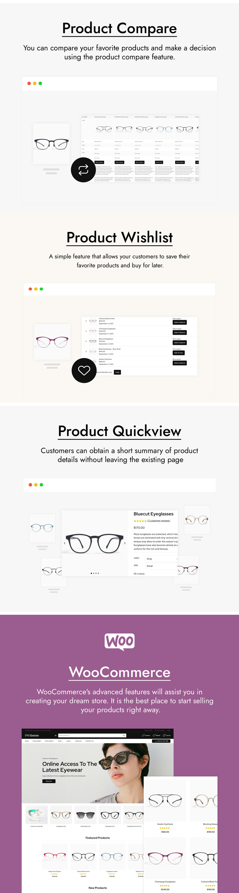 Goixio - 太阳镜、眼镜 WooCommerce 主题 - Features Image 4