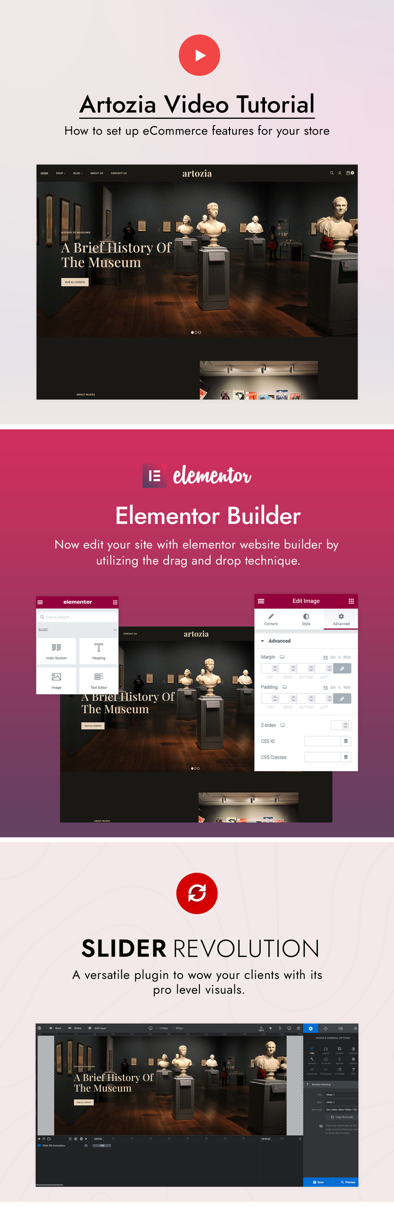 WordPress-thema voor Artozia Art Gallery en Museum - Features Image 3