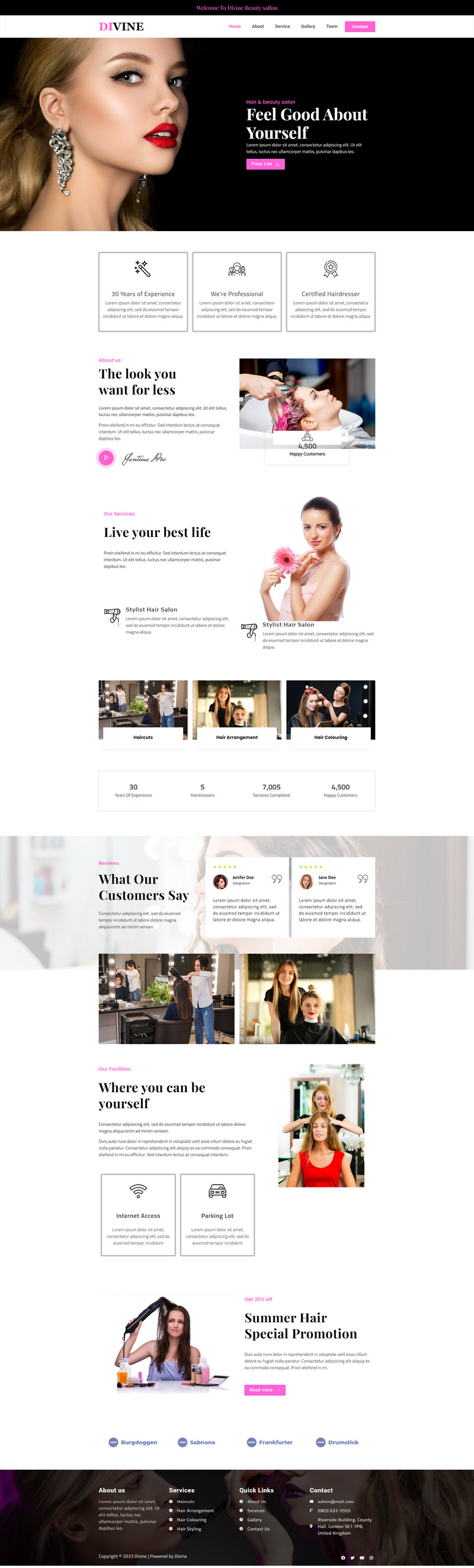 Divine Hair And Beauty Salon- WordPress Theme - Features Image 1