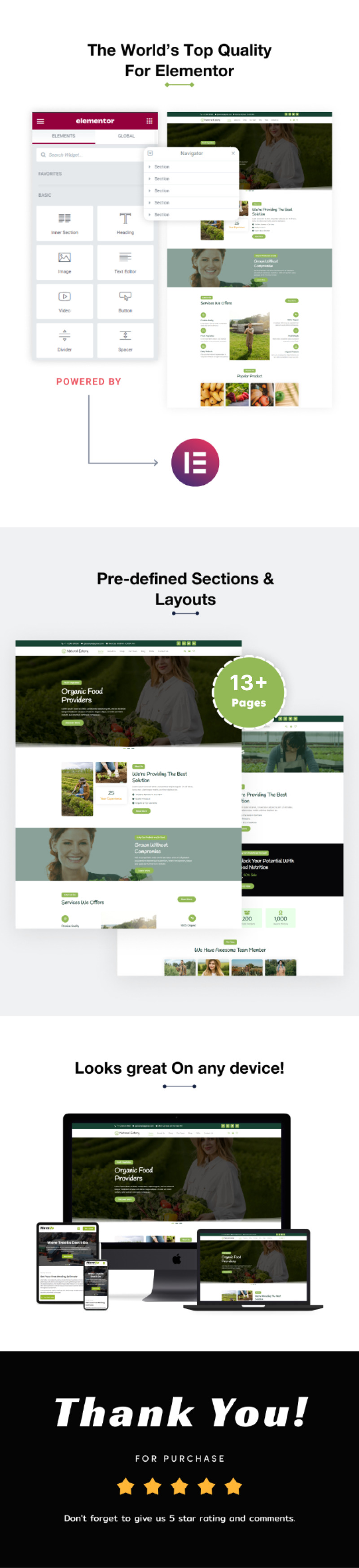 Natural Eatery - 健康食品在线销售 Elementor 模板套件 - Features Image 2