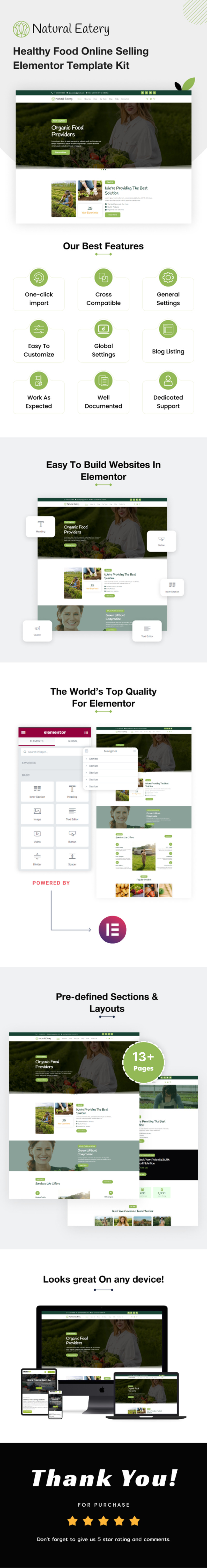 Natural Eatery — комплект шаблонов Elementor для онлайн-продажи здоровой пищи - Features Image 1