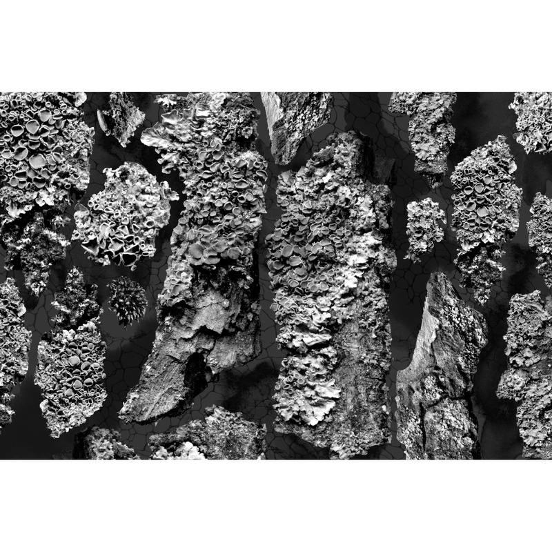 Natural Backgrounds Vol.2 - Features Image 1