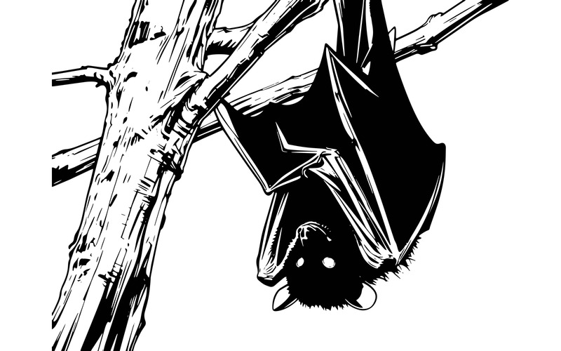 Primo piano di un uccello appollaiato su un albero (immagine illustrativa AI + linea grafica vettoriale) - Caratteristiche Immagine 2