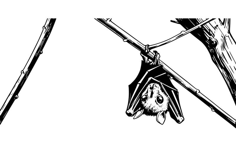 Närbild av hängande gren på fladdermus (AI-illustrationsbild + vektorgrafik) - Features Image 2