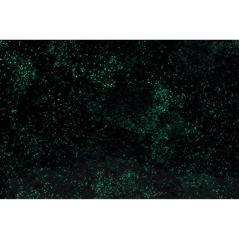 Magic Dust Backgrounds Vol.1 - Features Image 4