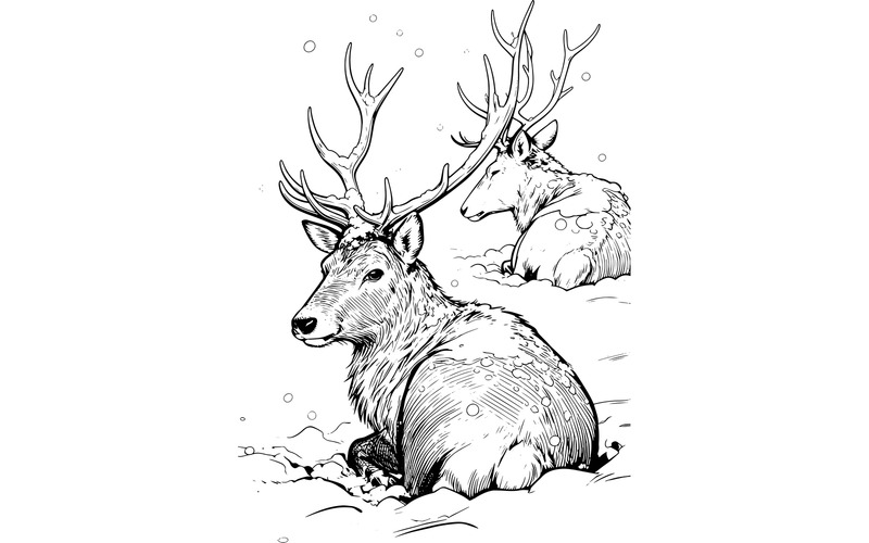 Illustrazione invernale di renne su terra innevata - Caratteristiche Immagine 2