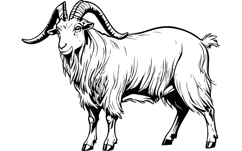 Illustrazione di un fumetto di una pecora bighorn - Caratteristiche Immagine 2