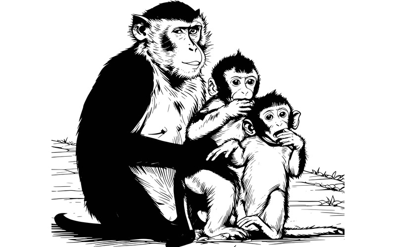 Illustrazione di una famiglia di scimmie sedute sul sentiero - Caratteristiche Immagine 2