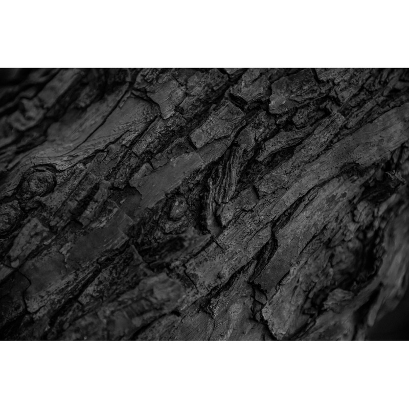 Hartholz Baum Textur Nahaufnahme Hintergründe - Eigenschaften Bild 2