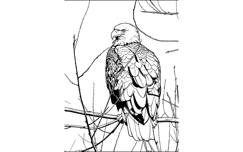 Águila posada en una rama, vista en ángulo bajo (imagen AI + arte lineal vectorial) - Características Imagen 2