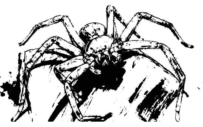 微距拍摄的棕色恐怖狼蛛，有八只眼睛 - Features Image 2