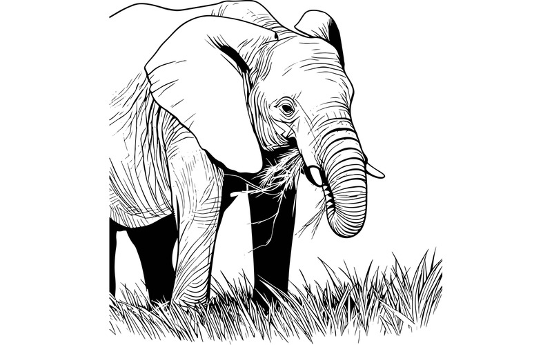 Elefante salvaje (imagen de ilustración AI + arte lineal vectorial) - Características Imagen 2