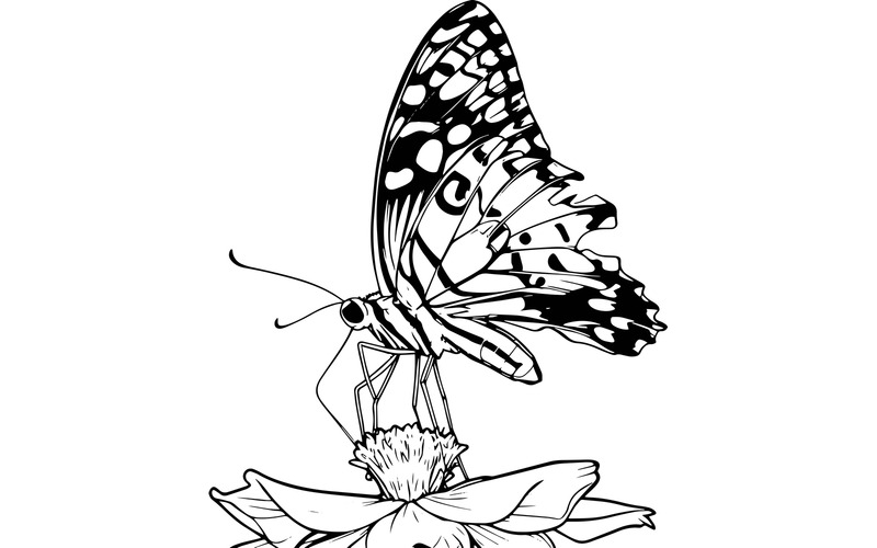 Detailopname van een prachtige vlinder die in een bloem blijft zitten (AI-illustratie + vectorlijnkunst) - Features Image 2