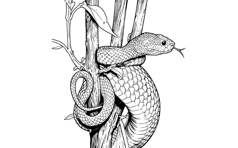 Serpente vipera blu Serpente vipera ramo Serpente pronto all'attacco Insularis blu Illustrazione ravvicinata dell'animale - Caratteristiche Immagine 2