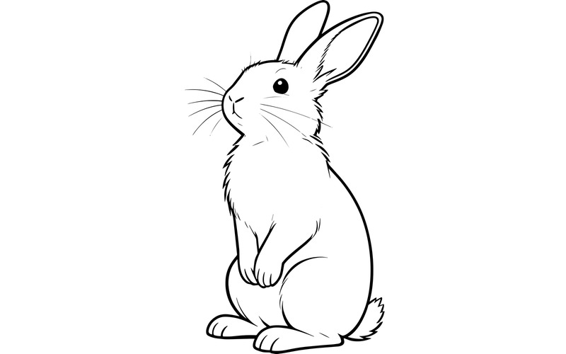 Illustrazione del fumetto di White Rabbit - Caratteristiche Immagine 2