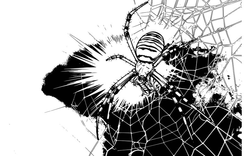 Illustration einer schwarz-gelb gestreiften Argiope-Bruennichi-Wespe - Eigenschaften Bild 2