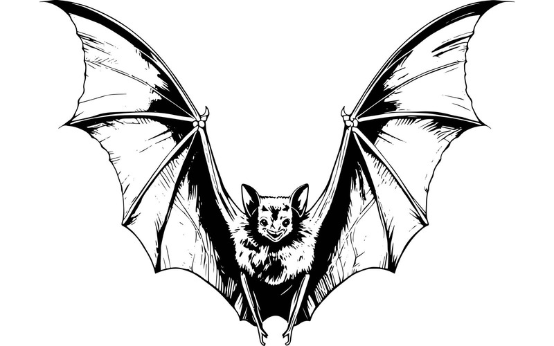 Volo di pipistrello nero con struttura alare dettagliata (immagine di illustrazione AI + linea grafica vettoriale) - Caratteristiche Immagine 2