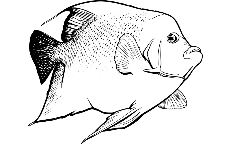 Pez gigante de arrecife de coral verde y amarillo (imagen de ilustración AI + arte lineal vectorial) - Características Imagen 2