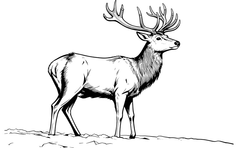 Illustrazione della foresta di cervi rossi - Caratteristiche Immagine 2