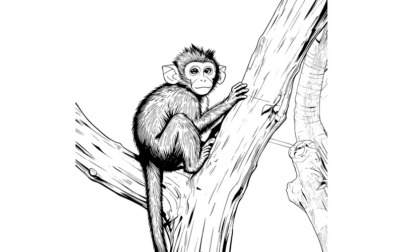Ripresa con messa a fuoco selettiva verticale di una scimmia seduta su un ramo di un albero nella giungla - Caratteristiche Immagine 2
