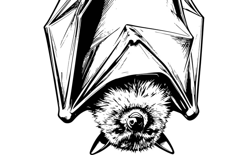 Primo piano di un uccello appeso all'aperto (immagine illustrativa AI + disegno vettoriale) - Caratteristiche Immagine 2