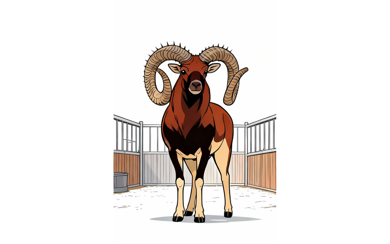 Illustrazione a fumetti della pecora Argali - Caratteristiche Immagine 1
