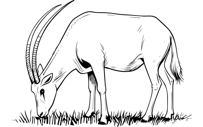 Illustrazione di un fumetto di un orice al pascolo - Caratteristiche Immagine 2