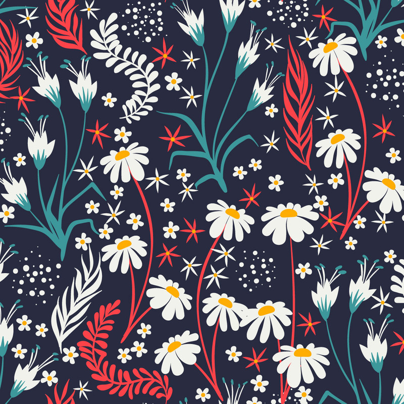 Kamillenfeld, florale, nahtlose Muster - Eigenschaften Bild 1