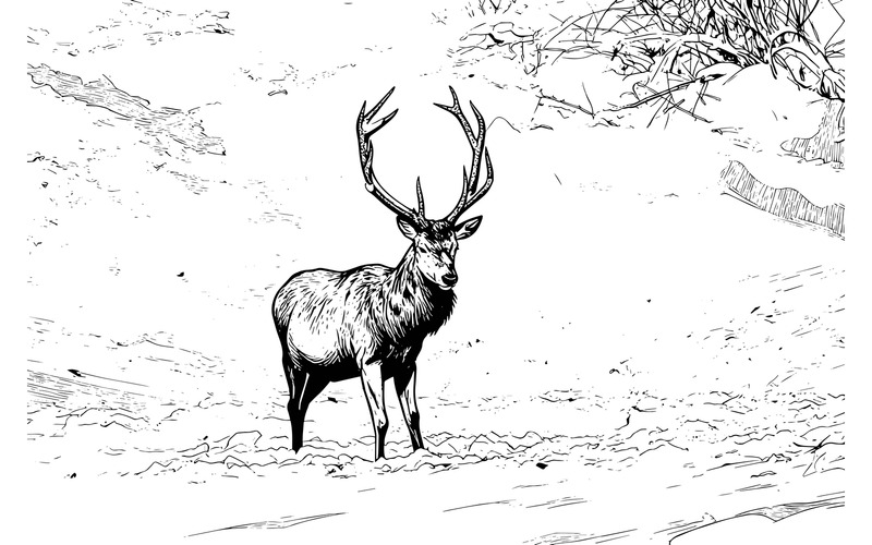 Cervo che cerca cibo, illustrazione invernale della Baviera, Germania - Caratteristiche Immagine 2