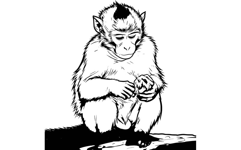 Illustrazione del muro di contenimento della scimmia - Caratteristiche Immagine 2