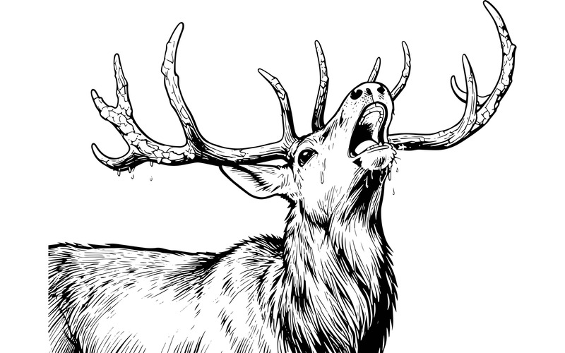 Illustrazione invernale di una renna in piedi all'aperto - Caratteristiche Immagine 2