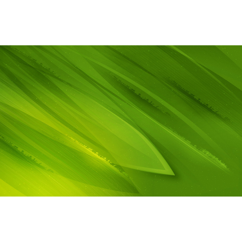 Grüne Blätter abstrakte Hintergründe - Eigenschaften Bild 4
