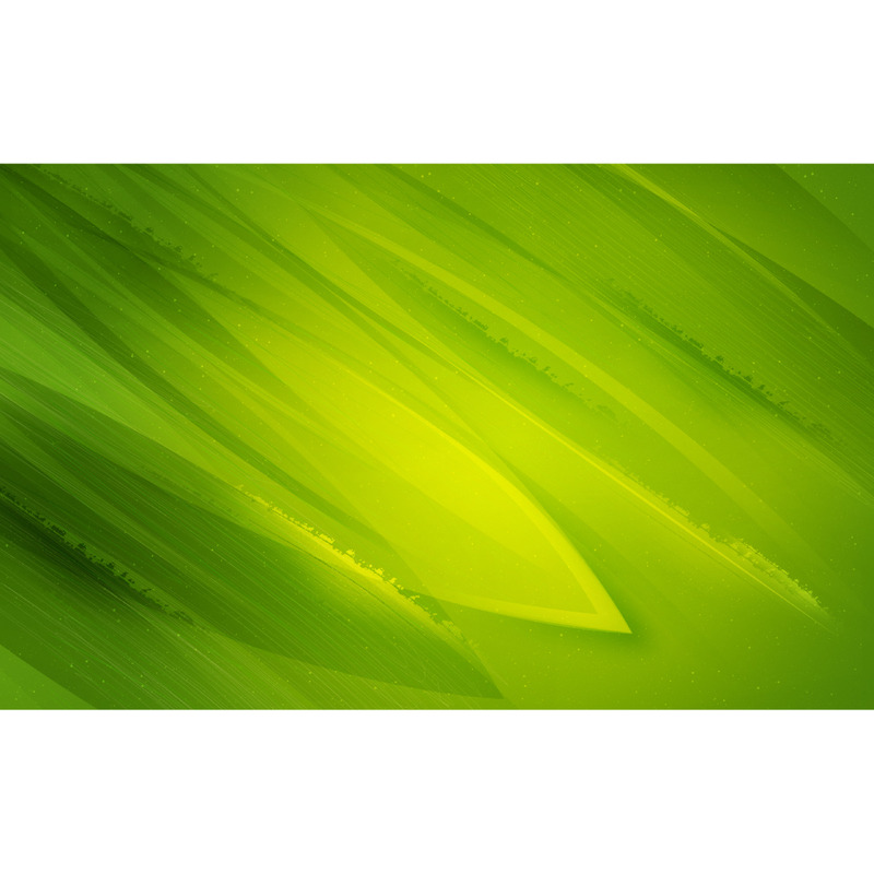 Grüne Blätter abstrakte Hintergründe - Eigenschaften Bild 3