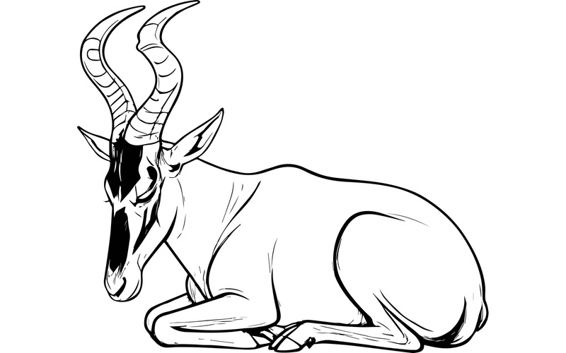 Illustrazione del fumetto di Hartebeest - Caratteristiche Immagine 2
