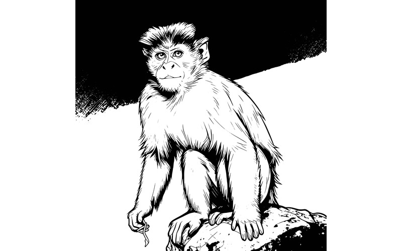 Portrait Monkey Land Illustration - Features Image 2