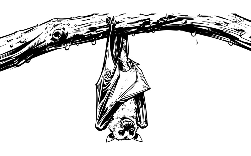 Primo piano della mangiatoia per uccelli (immagine illustrativa AI + disegno vettoriale) - Caratteristiche Immagine 2