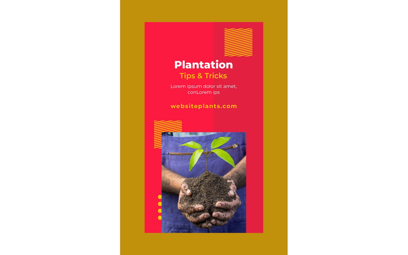 Instagram Stories Plantation - Features Image 1