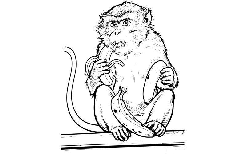 Illustrazione di un macaco dalla coda lunga ripreso da vicino - Caratteristiche Immagine 2