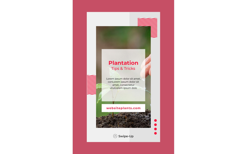 Instagram Stories Plantation Tips and Tricks - Features Image 1