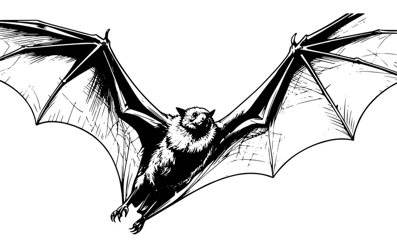 Bellissimo pipistrello volante (illustrazione di immagini AI + grafica vettoriale) - Caratteristiche Immagine 1
