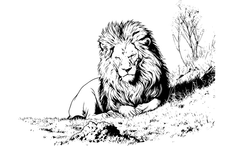 Illustration d'un lion regardant directement l'objectif - Caractéristiques de l’image 2