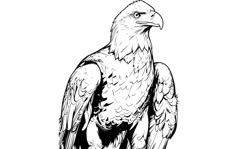 Närbild av örn som tittar bort (AI-illustrationsbild + vektorgrafik) - Features Image 2