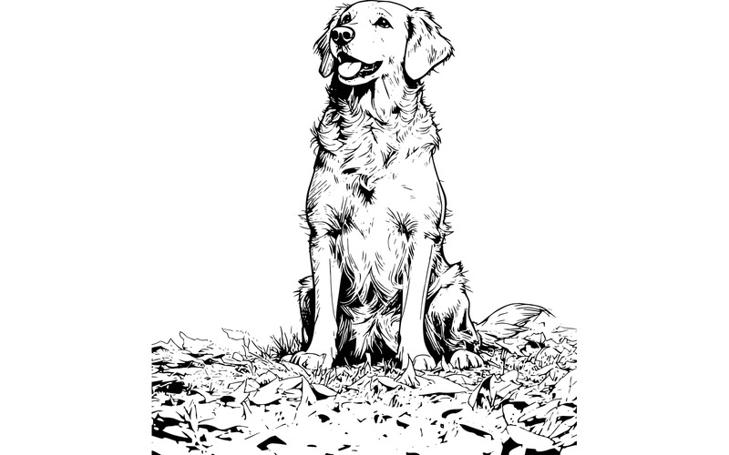 Golden Retriever Sitting Land (Ai Illustration Image + Vector Line Art) - Features Image 2