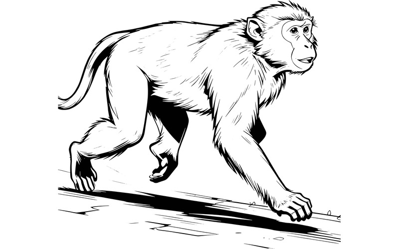 Monkey Road Ai Illustration Image and Vector Line Art - Features Image 2