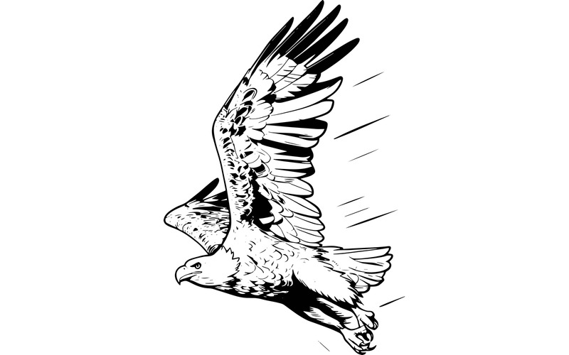 Aquila in volo con vista dal basso contro un cielo azzurro limpido 1 (immagine illustrativa AI + grafica vettoriale) - Caratteristiche Immagine 2