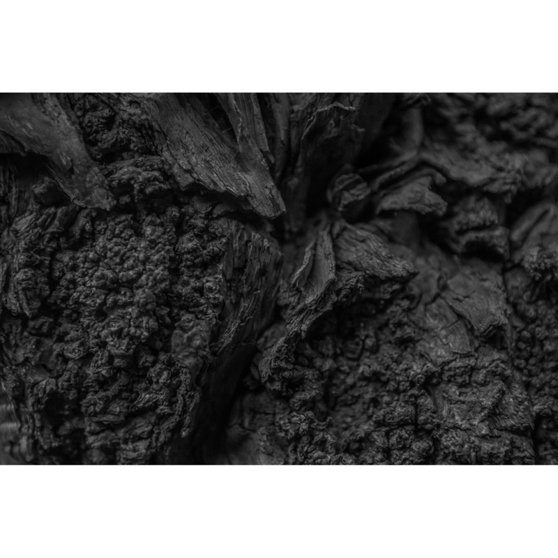 Hartholz Baum Textur Nahaufnahme Hintergründe - Eigenschaften Bild 5