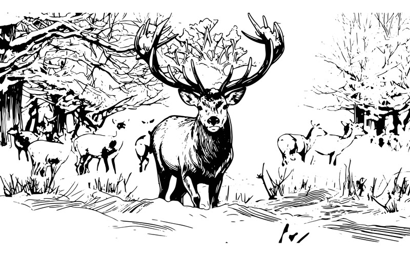 Illustrazione di un maestoso cervo rosso in inverno - Caratteristiche Immagine 2