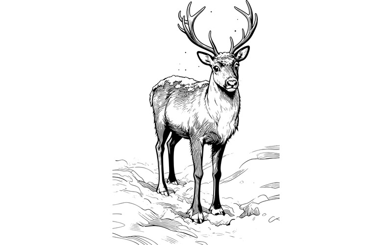 Ripresa verticale di un cervo nella foresta innevata, illustrazione invernale - Caratteristiche Immagine 2